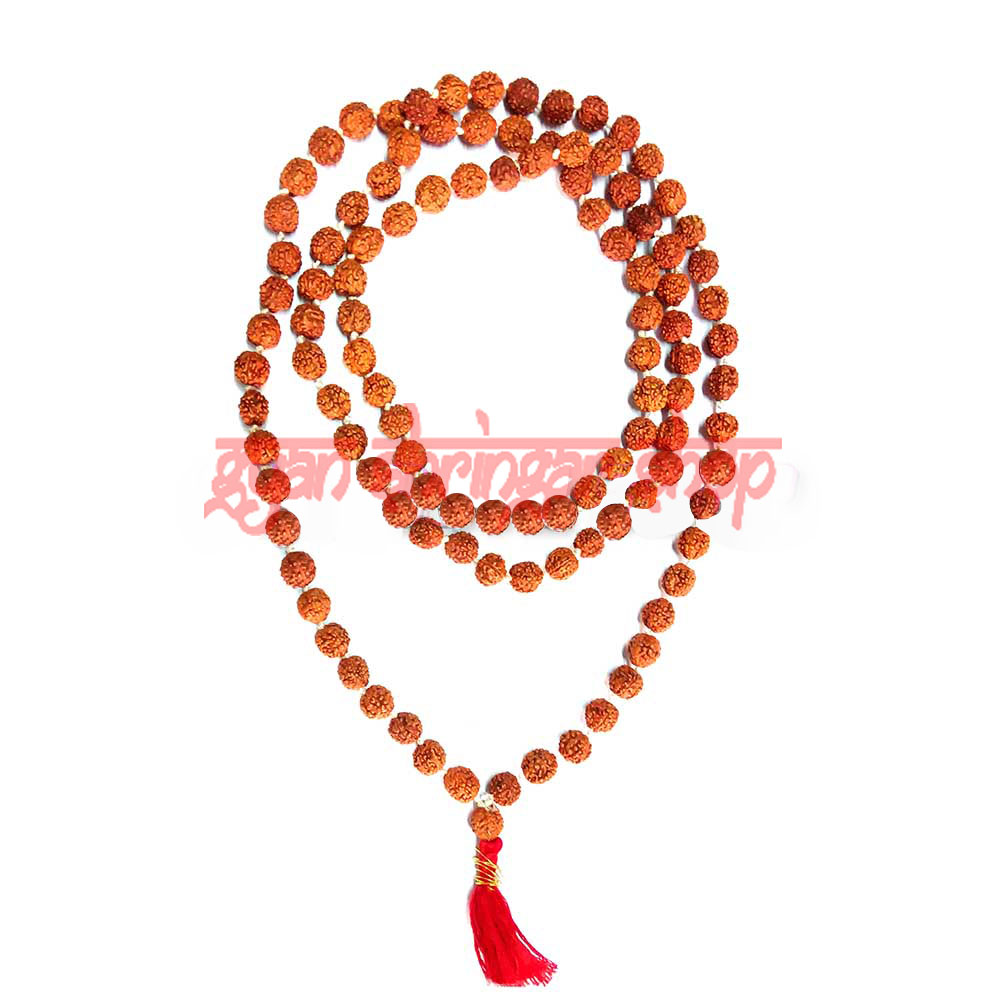Five Mukhi Java Rudraksha Mala - 10 mm