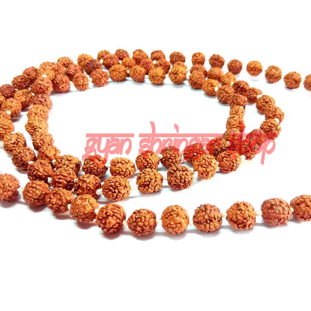 Five Mukhi Java Rudraksha Mala - 10 mm