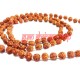 Five Mukhi Java Rudraksha Mala - 10 mm
