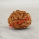 3 (Three) Mukhi From Java Indonesia Rudraksha