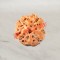 4 (Four) Mukhi From Java Indonesia Rudraksha