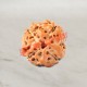 4 (Four) Mukhi From Java Indonesia Rudraksha
