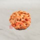 4 (Four) Mukhi From Java Indonesia Rudraksha
