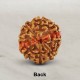 8 (Eight) Mukhi From Java Indonesia Rudraksha