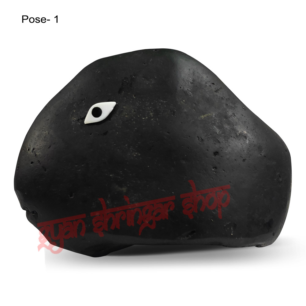 Matsya Avatar Shaligram Stone (Matsya Mukhi)
