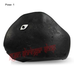 Matsya Avatar Shaligram Stone (Matsya Mukhi)