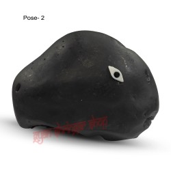 Matsya Avatar Shaligram Stone (Matsya Mukhi)
