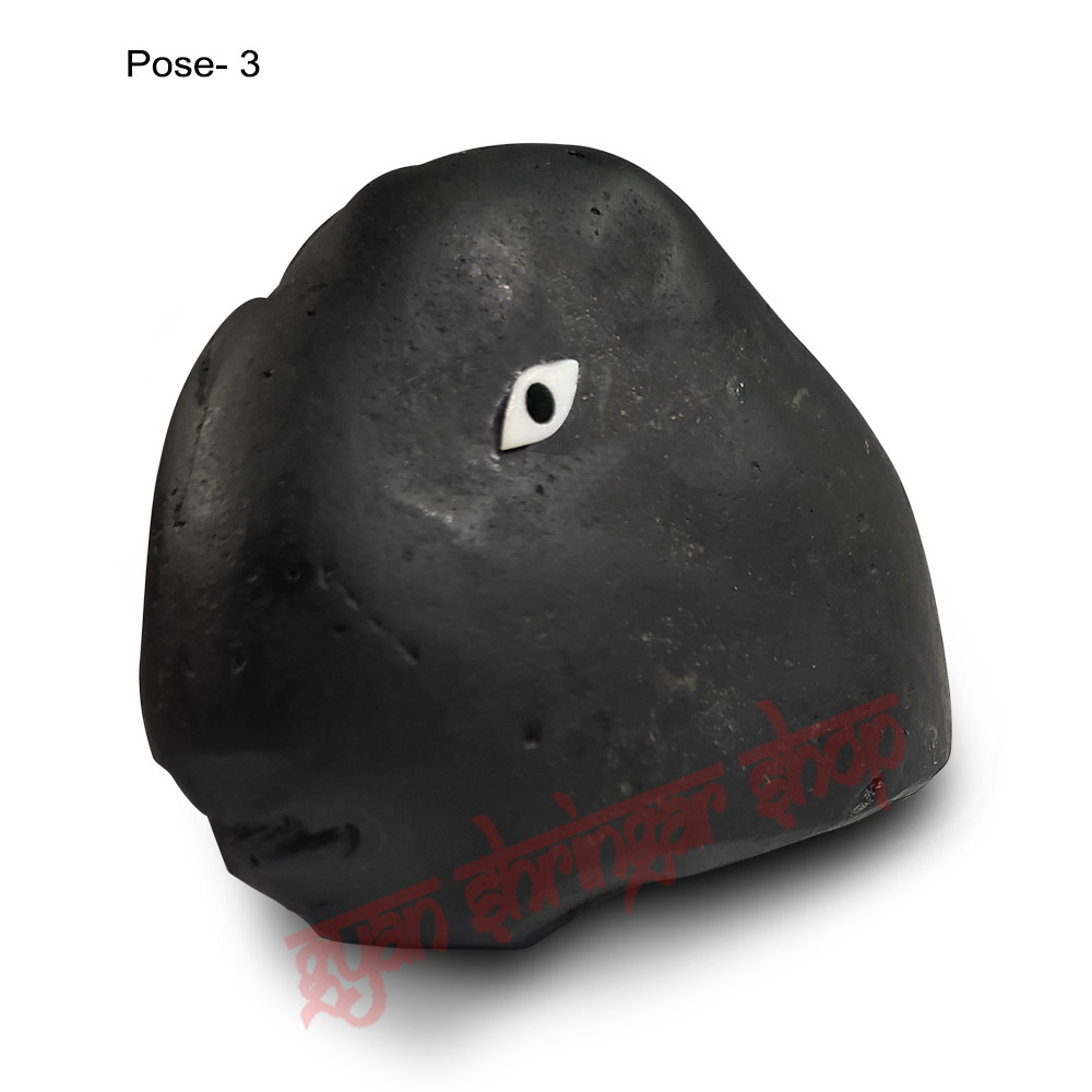 Matsya Avatar Shaligram Stone (Matsya Mukhi)