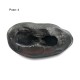 Matsya Avatar Shaligram Stone (Matsya Mukhi)
