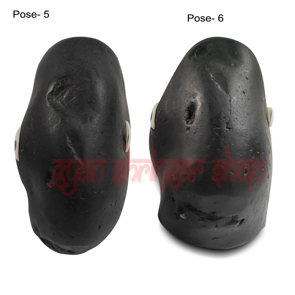 Matsya Avatar Shaligram Stone (Matsya Mukhi)