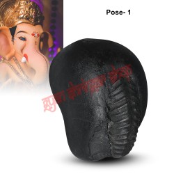 Vakratunda Ganpati Vishnu Shaligram Shila