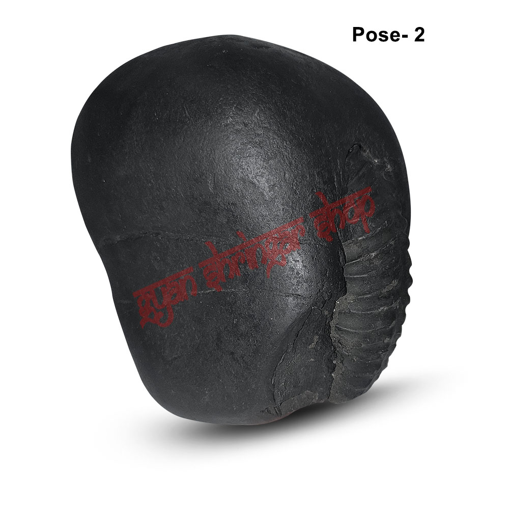Vakratunda Ganpati Vishnu Shaligram Shila