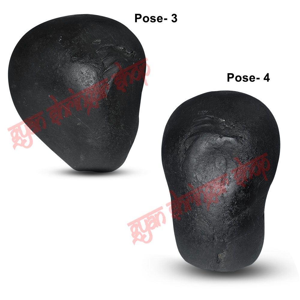 Vakratunda Ganpati Vishnu Shaligram Shila