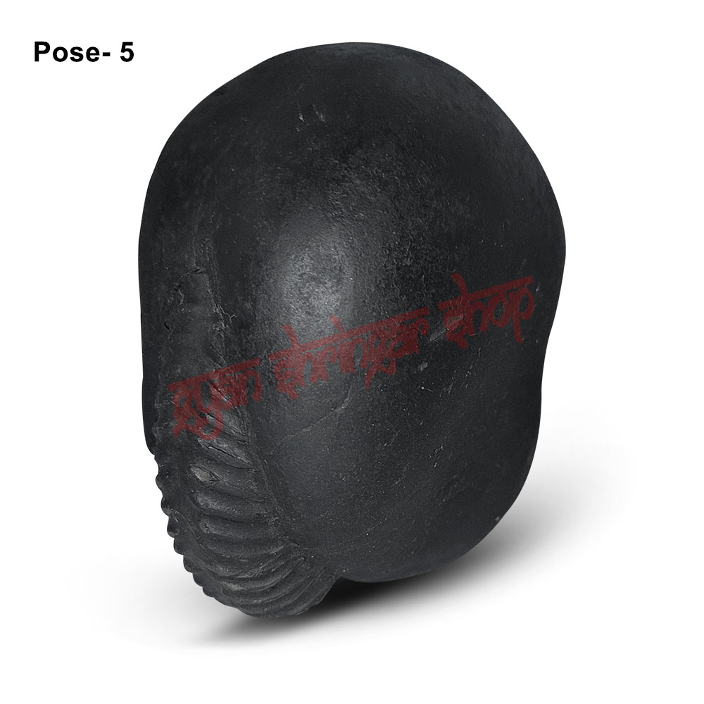 Vakratunda Ganpati Vishnu Shaligram Shila