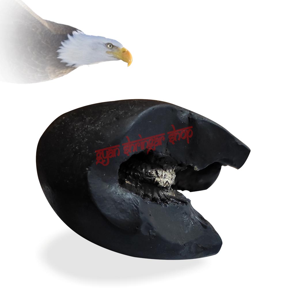 Shree Narayan Chakra Garuda Shaligram Stone Shila