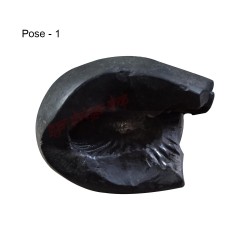 Shree Narayan Chakra Garuda Shaligram Stone Shila