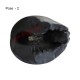 Shree Narayan Chakra Garuda Shaligram Stone Shila