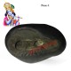Krishna Shaligram Stone Shila 