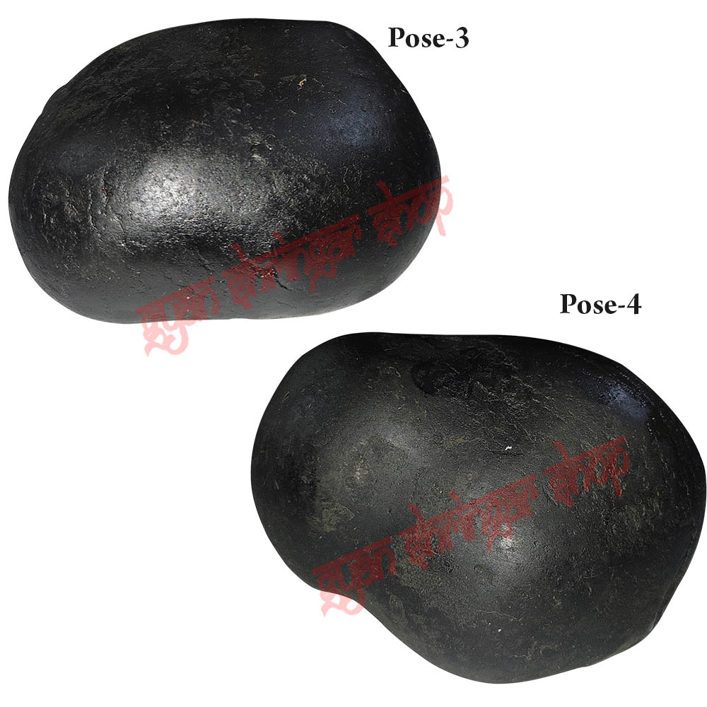 Krishna Shaligram Stone Shila 