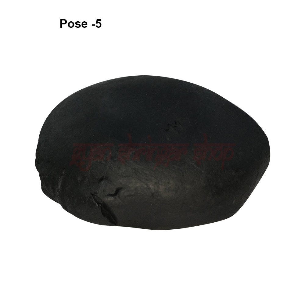 Narsimha Narayan Shaligram Shila Stone