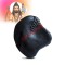 Shree Parshuram Vishnu Shaligram Stone Shila