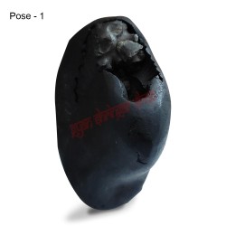 Shree Parshuram Vishnu Shaligram Stone Shila