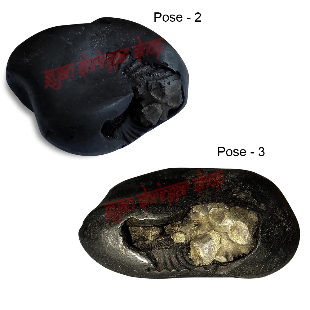 Shree Parshuram Vishnu Shaligram Stone Shila