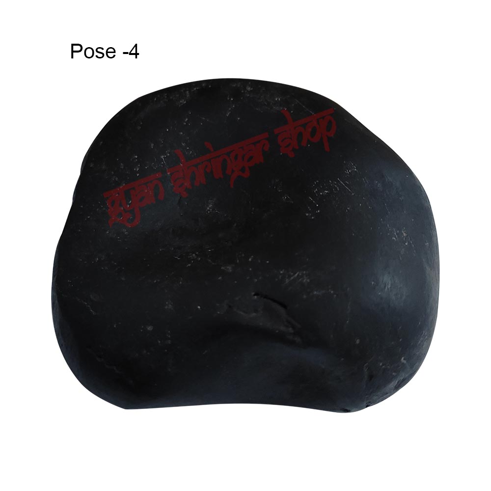 Shree Parshuram Vishnu Shaligram Stone Shila