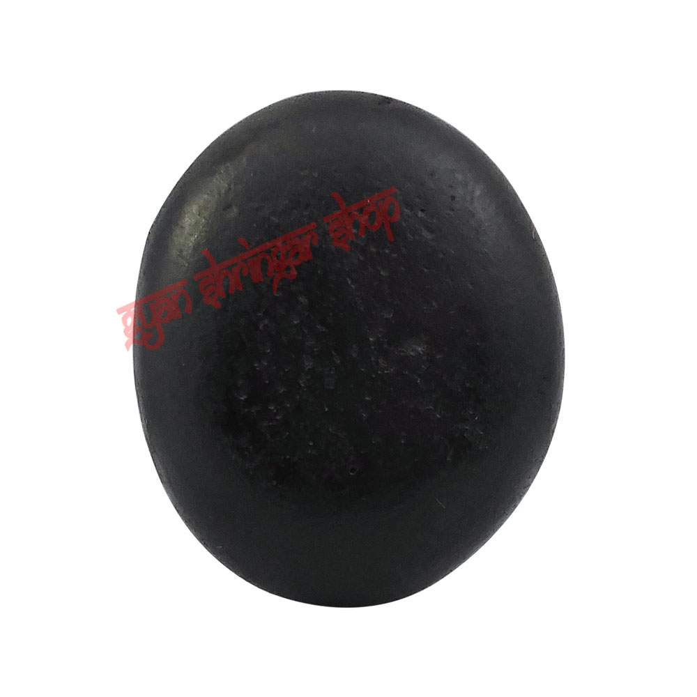 Thakurji Natural Narayan Shaligram Stone