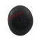 Thakurji Natural Narayan Shaligram Stone