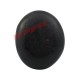 Thakurji Natural Narayan Shaligram Stone