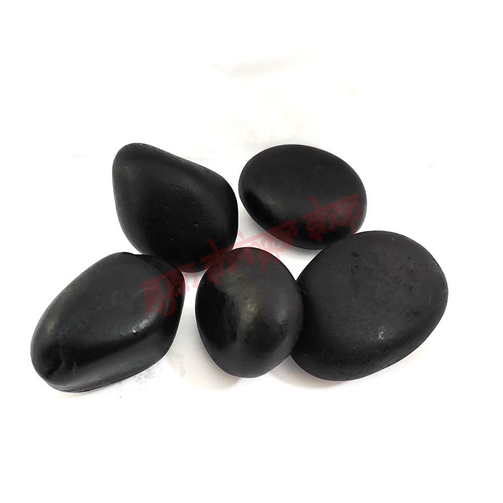 Thakurji Natural Narayan Shaligram Stone
