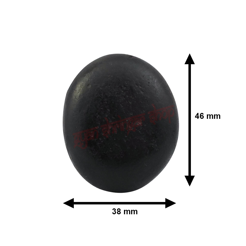 Thakurji Natural Narayan Shaligram Stone