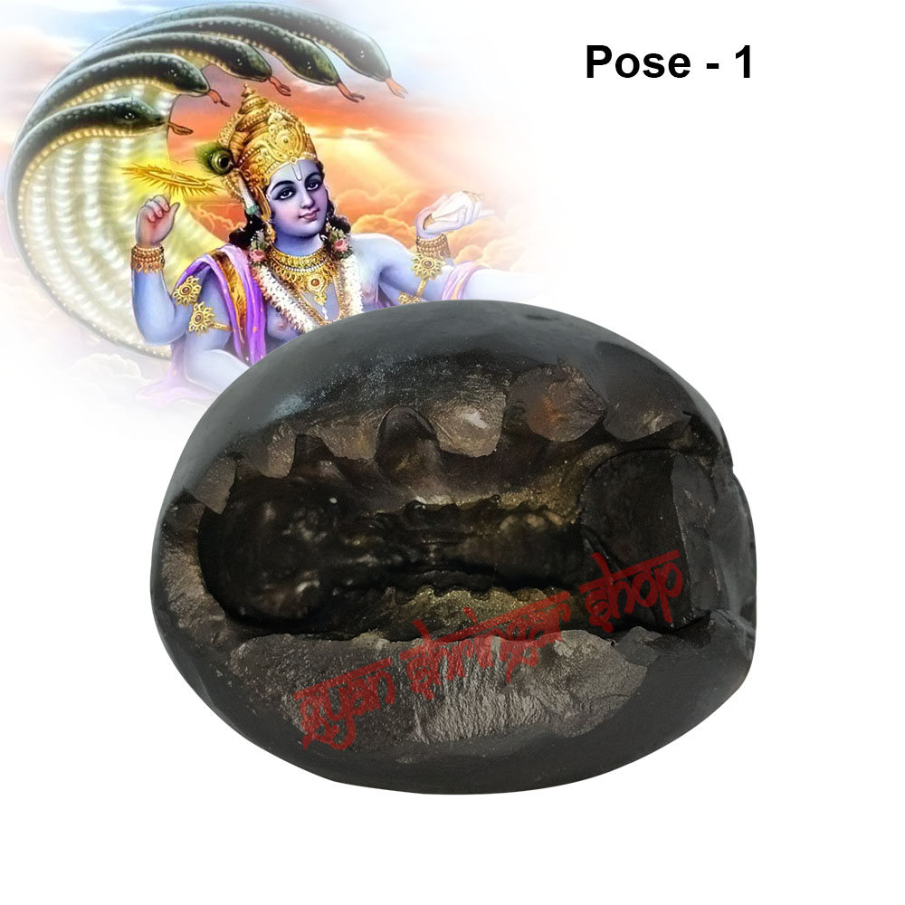 Shri Narayan Vishnu Shaligram Stone