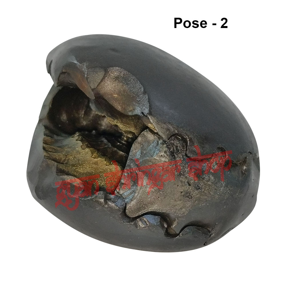 Shri Narayan Vishnu Shaligram Stone