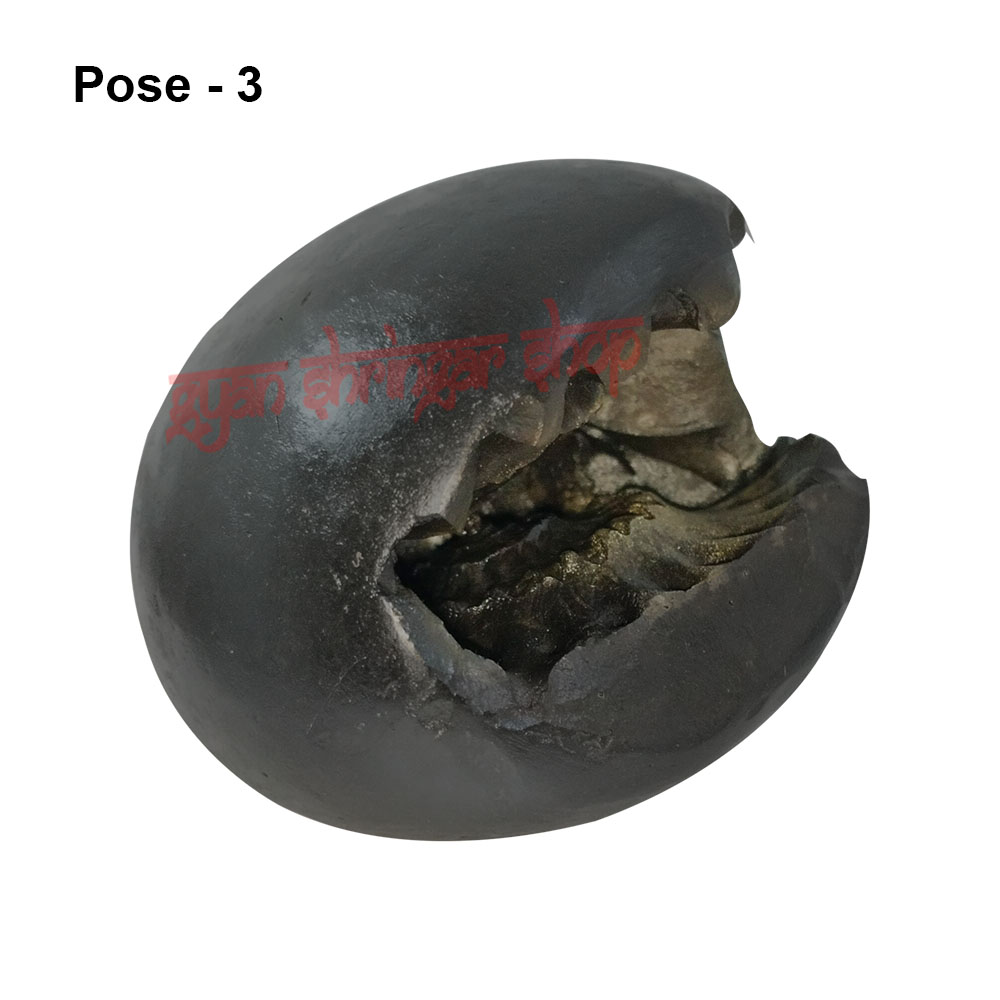 Shri Narayan Vishnu Shaligram Stone