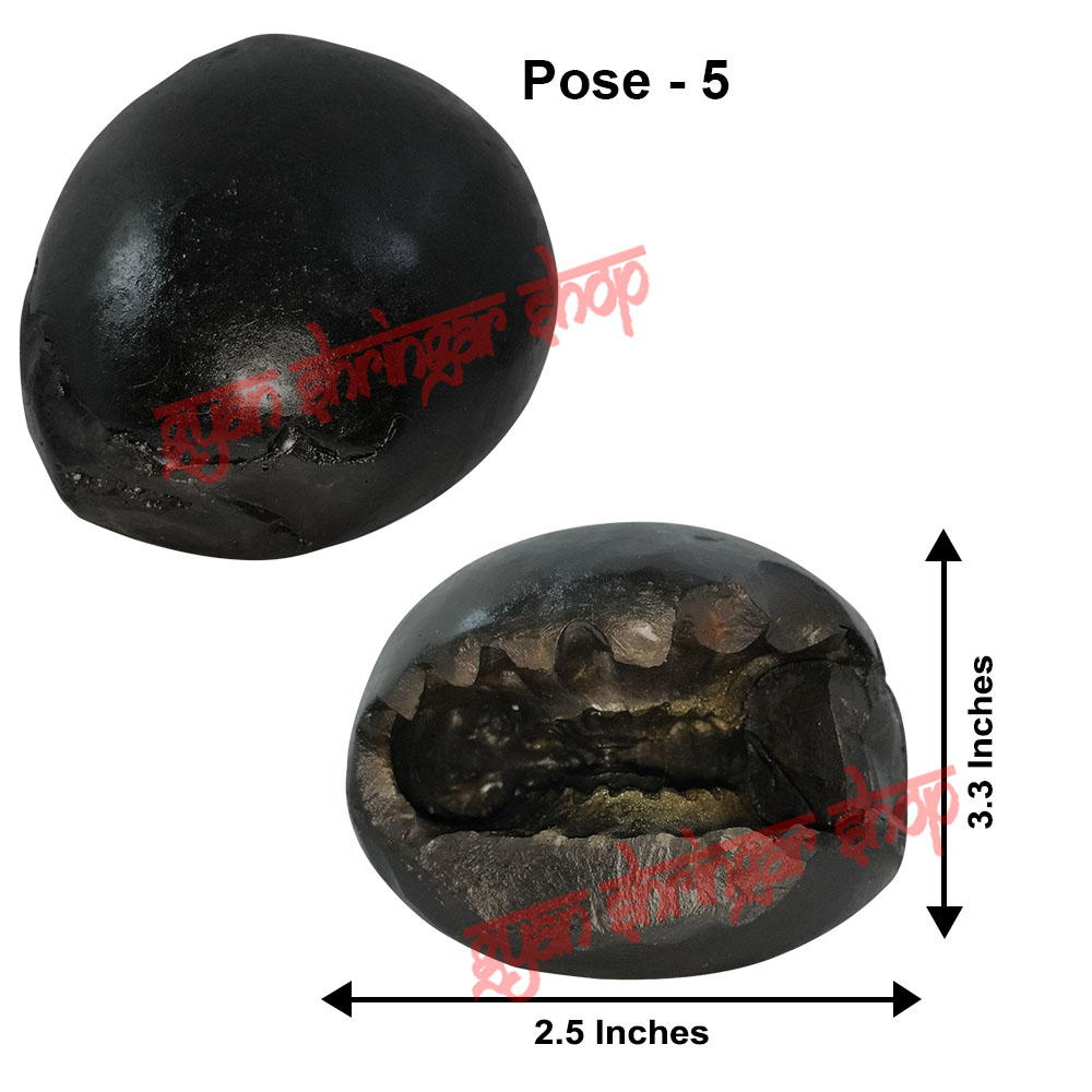 Shri Narayan Vishnu Shaligram Stone