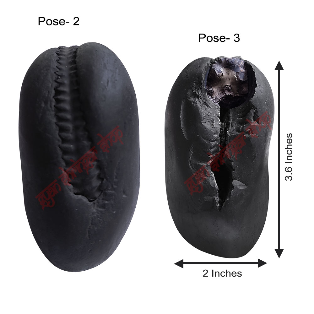 Shree Ram Lala Tulsi Mala with Shri Ram Shaligram Stone Set