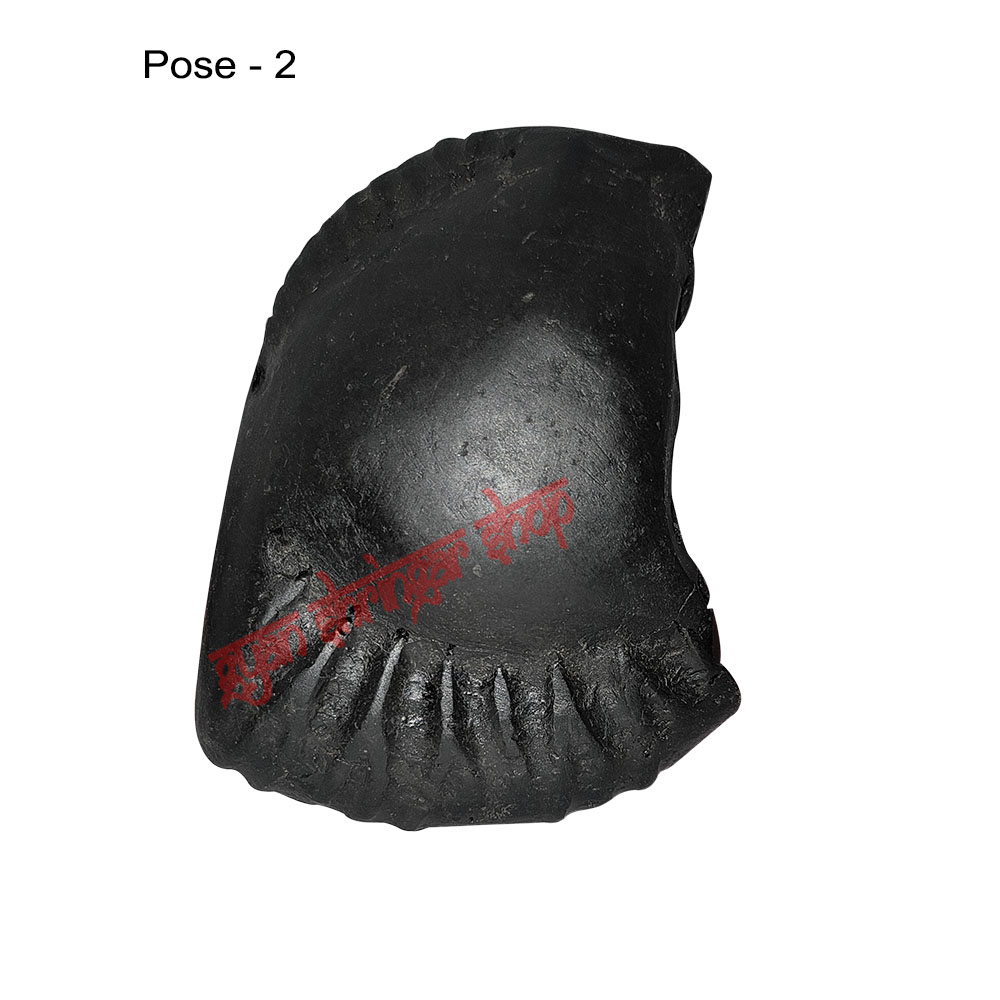 Shri Hari Shaligram Stone Shila