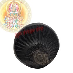 Surya Narayan Shaligram Shila Stone