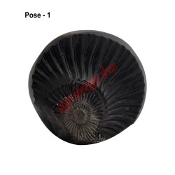 Surya Narayan Shaligram Shila Stone