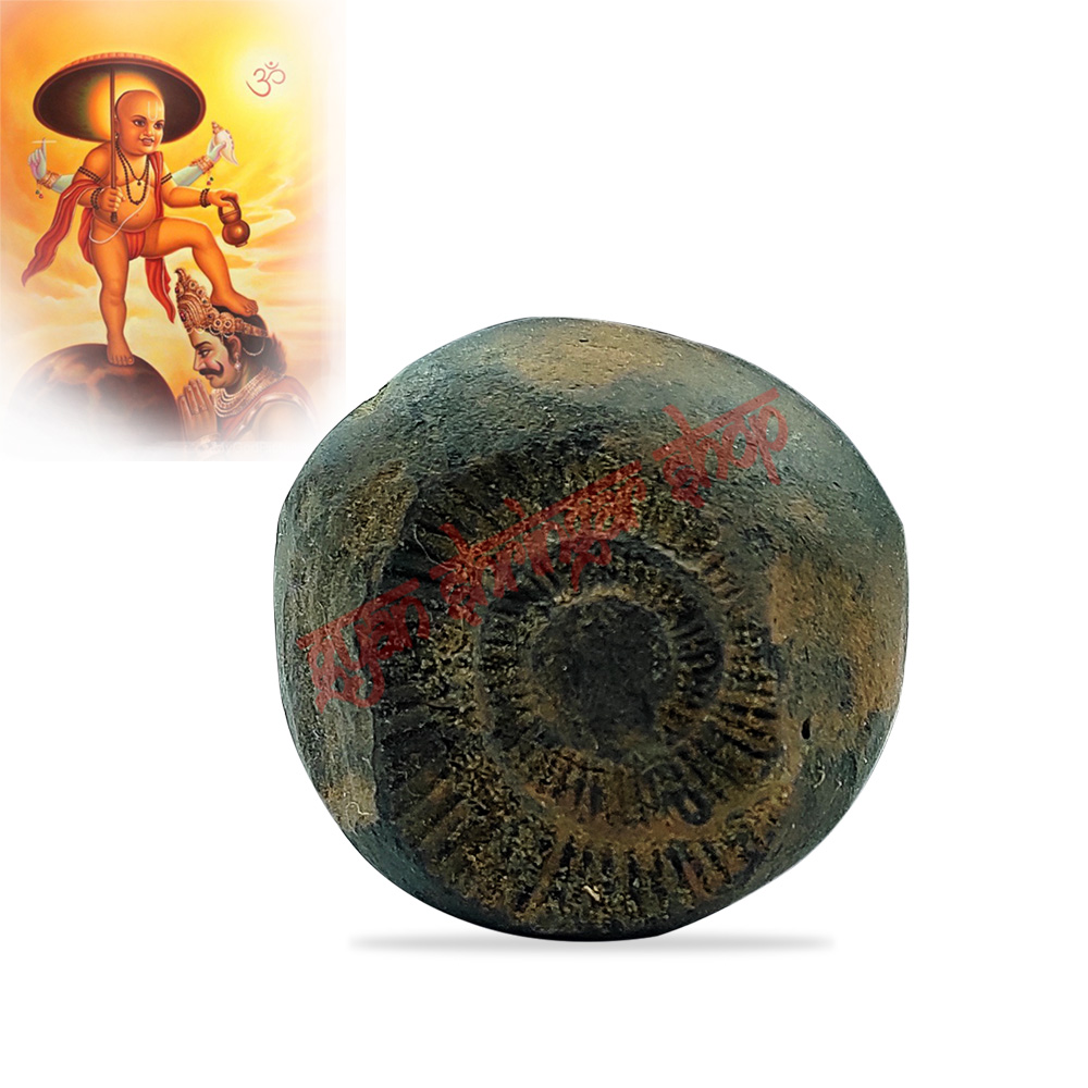 Vamana Vishnu Shaligram Shila Stone