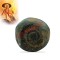 Vamana Vishnu Shaligram Shila Stone