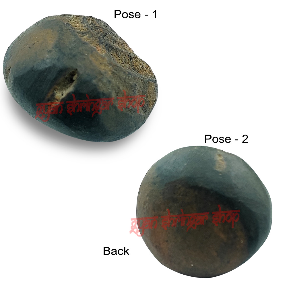 Vamana Vishnu Shaligram Shila Stone