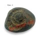 Vamana Vishnu Shaligram Shila Stone