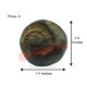 Vamana Vishnu Shaligram Shila Stone