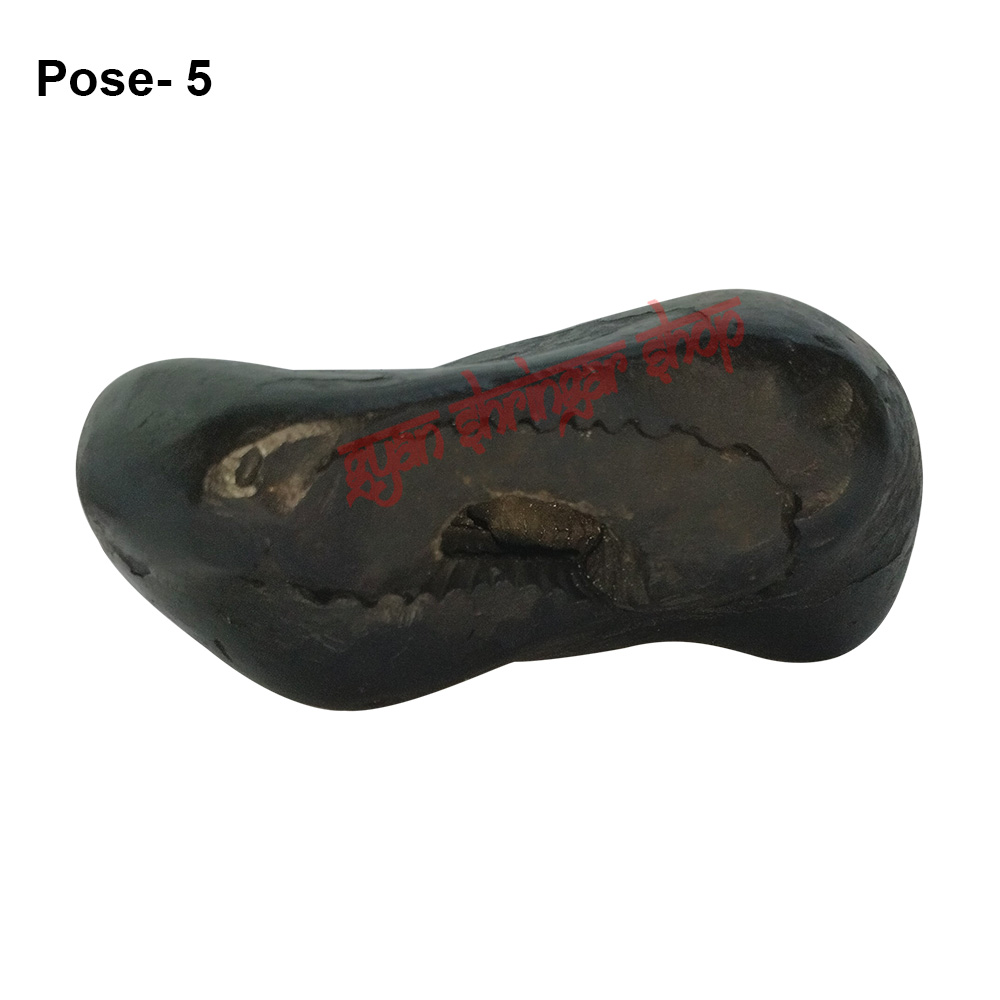 Varaha Mukh Shaligram Stone