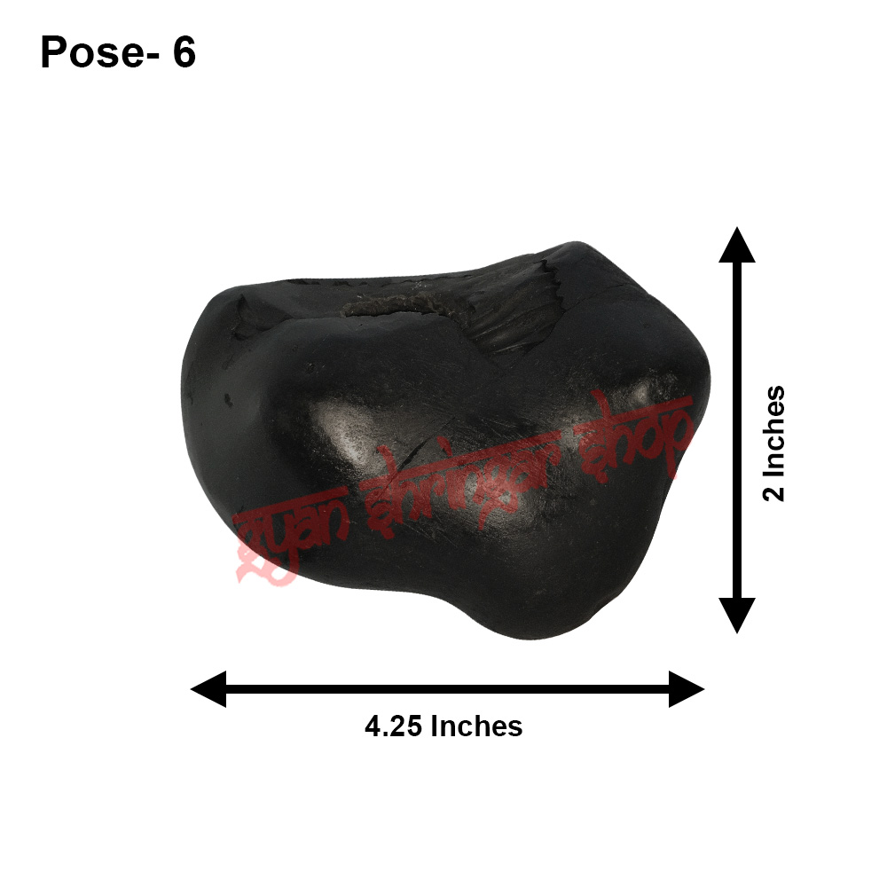 Varaha Mukh Shaligram Stone