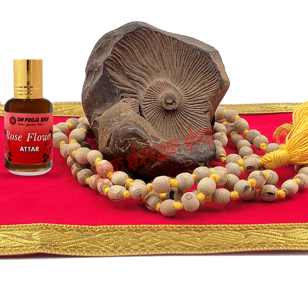 Narasimha Rupam Shaligram Stone