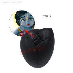Damodar Krishna Shaligram Shila Stone from Gandaki River in Nepal